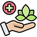 Holistic Approach